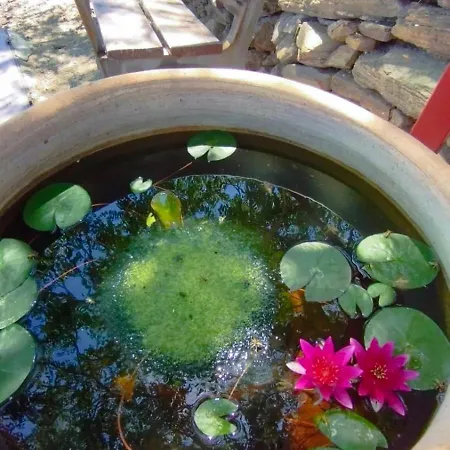펜션 Casa Esparragueras